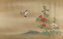 Java Sparrow by Pink and Red Hibiscus Mutablis by Kanō Tsunenobu