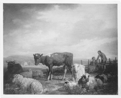 Kalb und Schafe auf der Weide by Max Joseph Wagenbauer