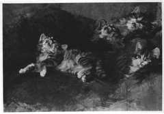 Katze mit Detailstudien by Julius Anton Adam