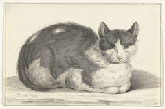 Liggende kat, naar rechts by Jean Bernard