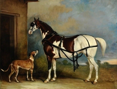 'Lofty' a Skewbald Carriage Horse with a Greyhound by John Ferneley