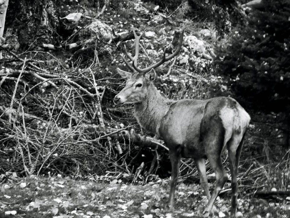 Exhibit image