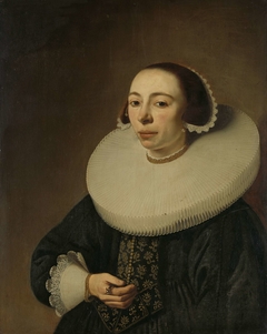 Portrait of a Woman by Pieter Dubordieu