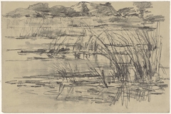 Riet in het water by Egbert Rubertus Derk Schaap