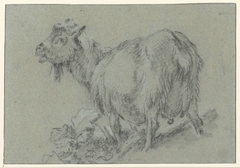 Staande geit, naar links by Unknown Artist