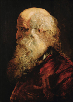 Studienkopf eines Greises by Peter Paul Rubens