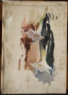 Study of a flower by Jan Ciągliński