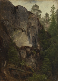 Study of a Ravine by August Cappelen