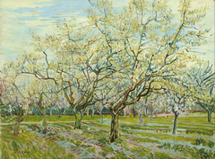 The White Orchard by Vincent van Gogh