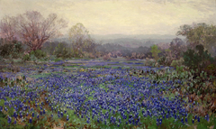 Untitled (Field of Bluebonnets) by Julian Onderdonk